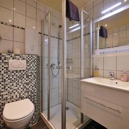 Gaensebluemchen Daire Willingen (Upland)