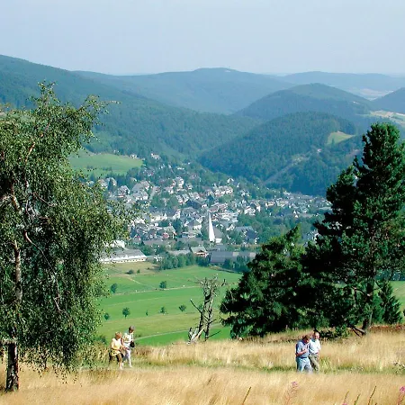 Gaensebluemchen Daire Willingen (Upland)