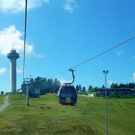 Gaensebluemchen * 빌링겐