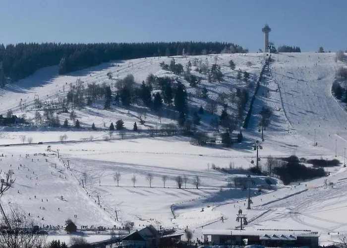 Gaensebluemchen 公寓 维林根