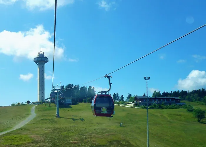 Gaensebluemchen * 빌링겐